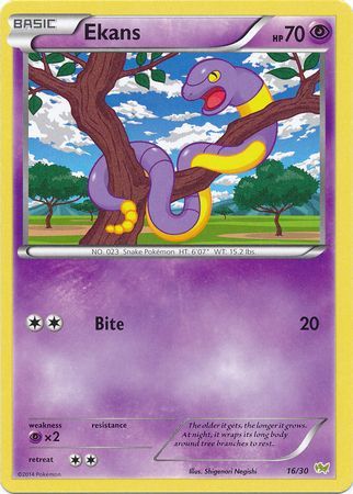 Ekans (16/30) [XY: Trainer Kit - Noivern] | Exor Games Truro