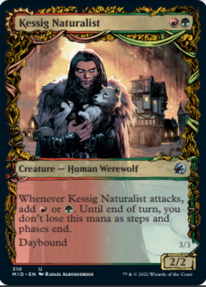 Kessig Naturalist // Lord of the Ulvenwald (Showcase Equinox) [Innistrad: Midnight Hunt] | Exor Games Truro