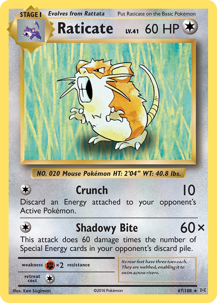 Raticate (67/108) [XY: Evolutions] | Exor Games Truro