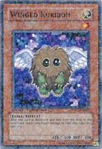 Winged Kuriboh [DT01-EN008] Common | Exor Games Truro