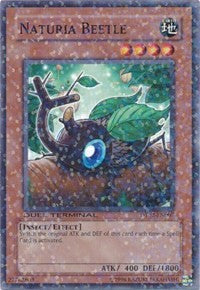 Naturia Beetle [DT02-EN007] Common | Exor Games Truro
