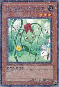 Naturia Rosewhip [DT02-EN071] Rare | Exor Games Truro