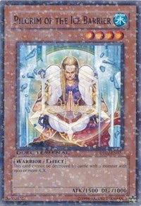 Pilgrim of the Ice Barrier [DT02-EN076] Common | Exor Games Truro