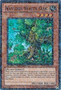 Naturia White Oak [DT04-EN081] Super Rare | Exor Games Truro