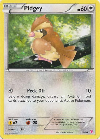 Pidgey (29/30) [XY: Trainer Kit 1 - Wigglytuff] | Exor Games Truro