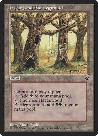Havenwood Battleground [Fallen Empires] | Exor Games Truro