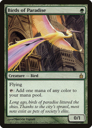 Birds of Paradise [Ravnica: City of Guilds] | Exor Games Truro