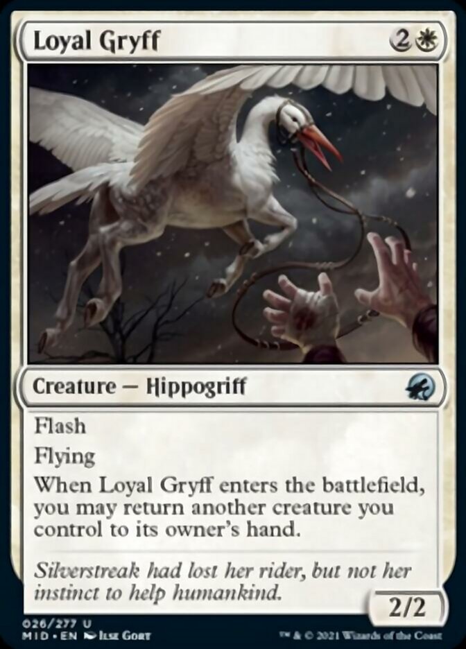 Loyal Gryff [Innistrad: Midnight Hunt] | Exor Games Truro