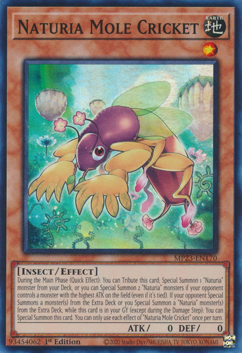 Naturia Mole Cricket [MP23-EN170] Super Rare | Exor Games Truro
