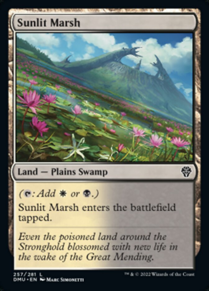 Sunlit Marsh [Dominaria United] | Exor Games Truro