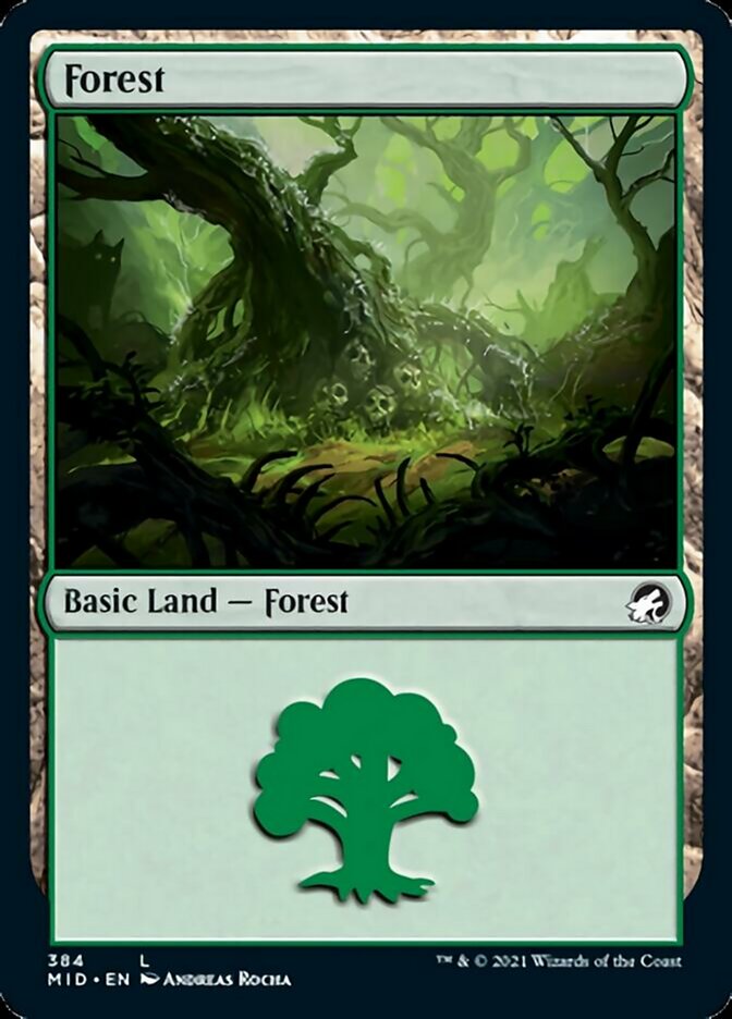 Forest (384) [Innistrad: Midnight Hunt] | Exor Games Truro