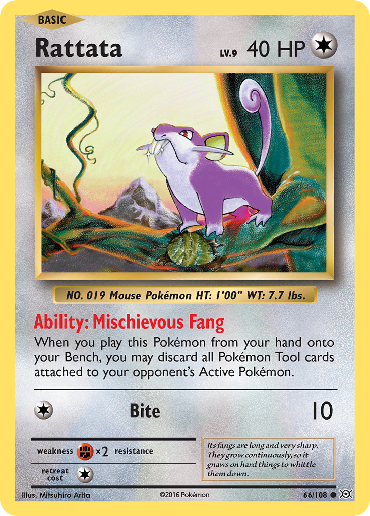 Rattata (66/108) [XY: Evolutions] | Exor Games Truro