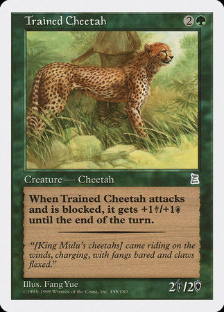Trained Cheetah [Portal Three Kingdoms] | Exor Games Truro