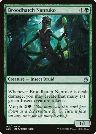 Broodhatch Nantuko [Masters 25] | Exor Games Truro