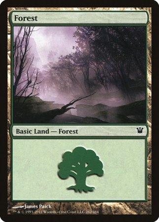 Forest (262) [Innistrad] | Exor Games Truro