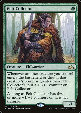 Pelt Collector [Guilds of Ravnica] | Exor Games Truro