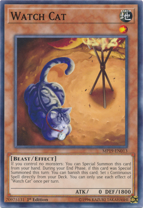 Watch Cat [MP19-EN013] Common | Exor Games Truro