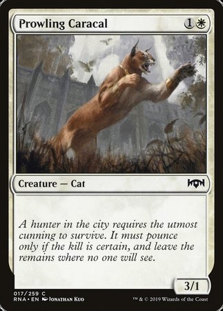 Prowling Caracal [Ravnica Allegiance] | Exor Games Truro