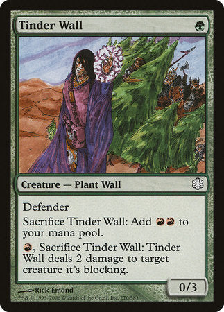 Tinder Wall [Coldsnap Theme Decks] | Exor Games Truro