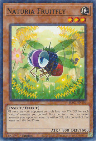 Naturia Fruitfly (Duel Terminal) [HAC1-EN106] Common | Exor Games Truro