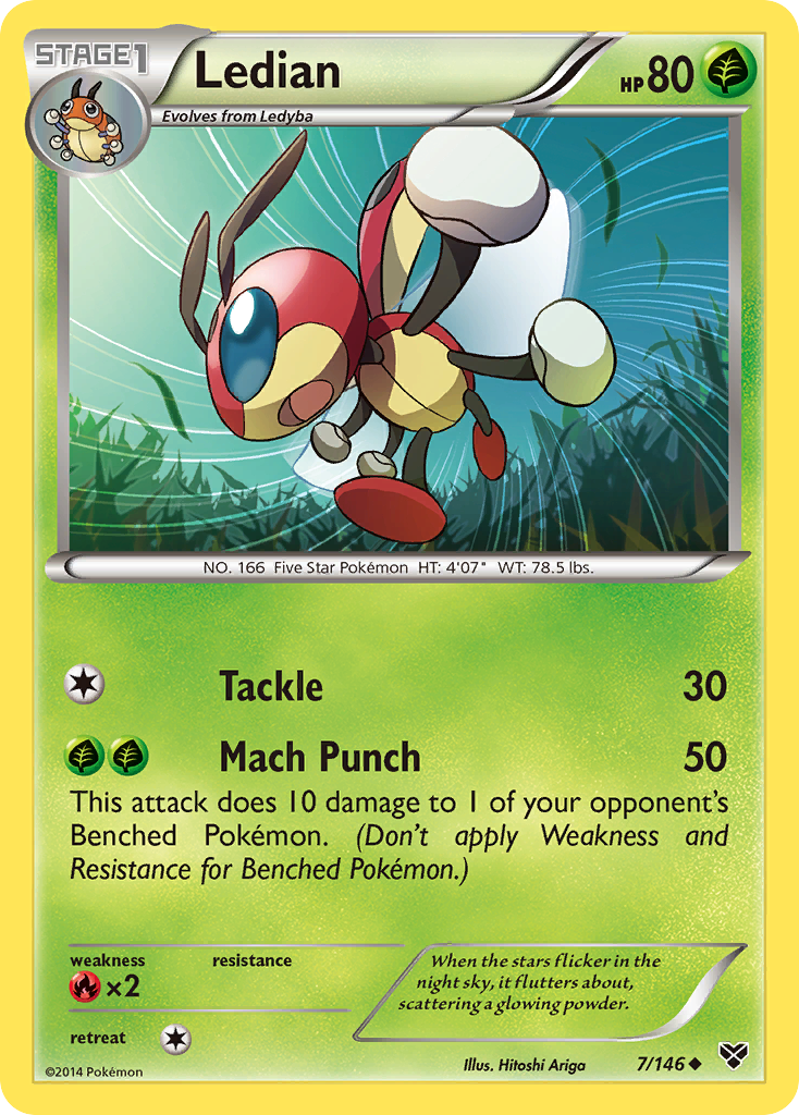 Ledian (7/146) [XY: Base Set] | Exor Games Truro