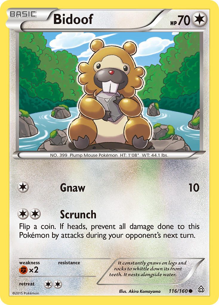 Bidoof (116/160) [XY: Primal Clash] | Exor Games Truro